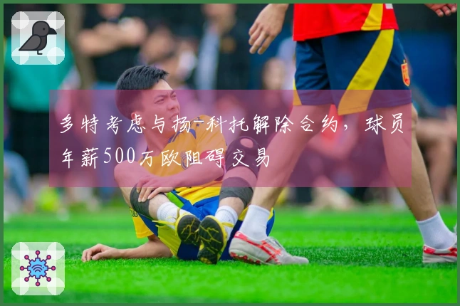 多特考虑与扬-科托解除合约，球员年薪500万欧阻碍交易