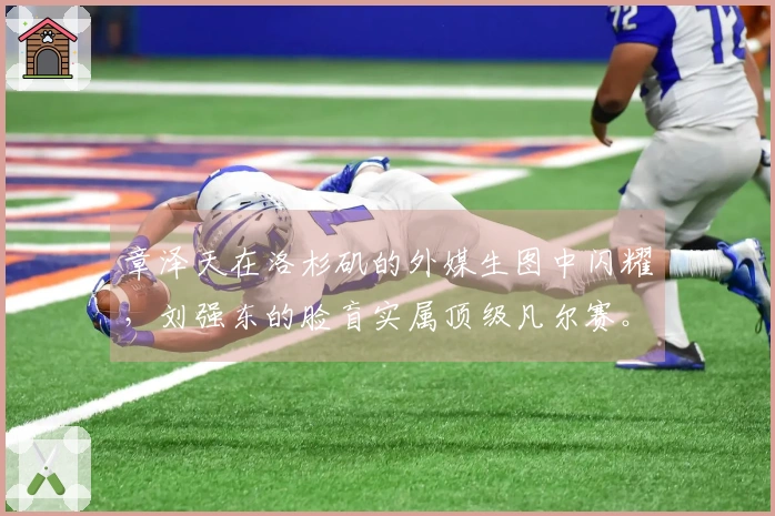 章泽天在洛杉矶的外媒生图中闪耀，刘强东的脸盲实属顶级凡尔赛。