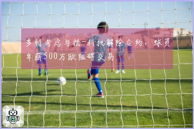 多特考虑与扬-科托解除合约，球员年薪500万欧阻碍交易